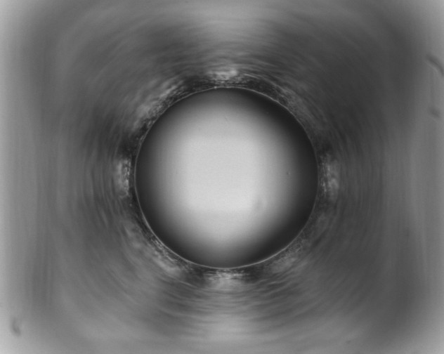 X0000102310664200807251441