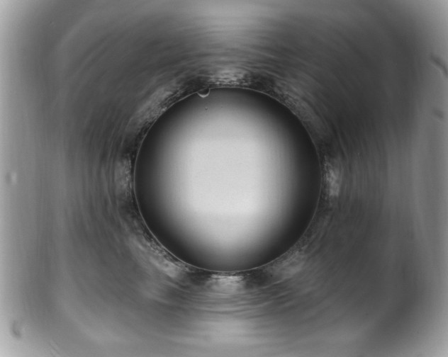 X0000102310665200807251441