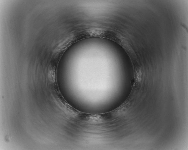 X0000102310666200807251441