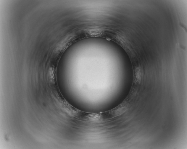 X0000102310667200807251441