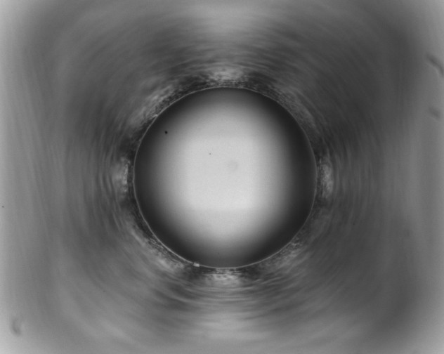 X0000102310668200807251441