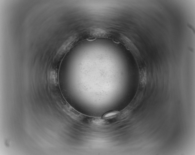 X0000102310669200807251441