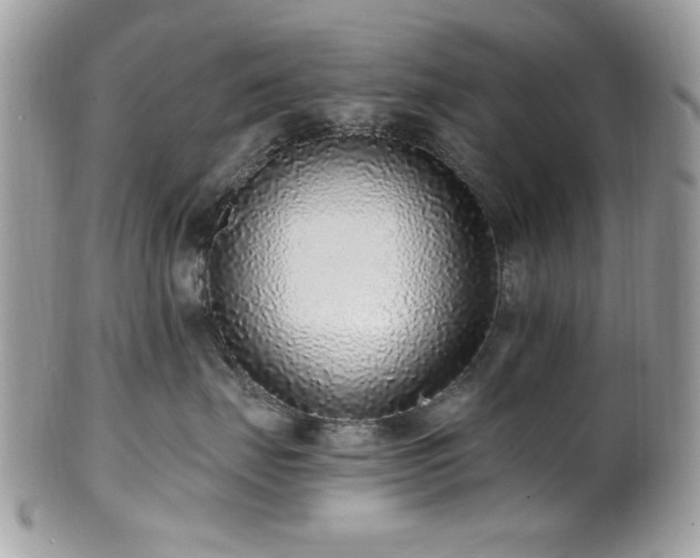 X0000102310671200807251441