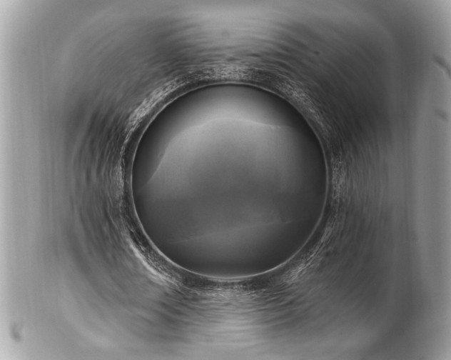 X0000102310674200807251440