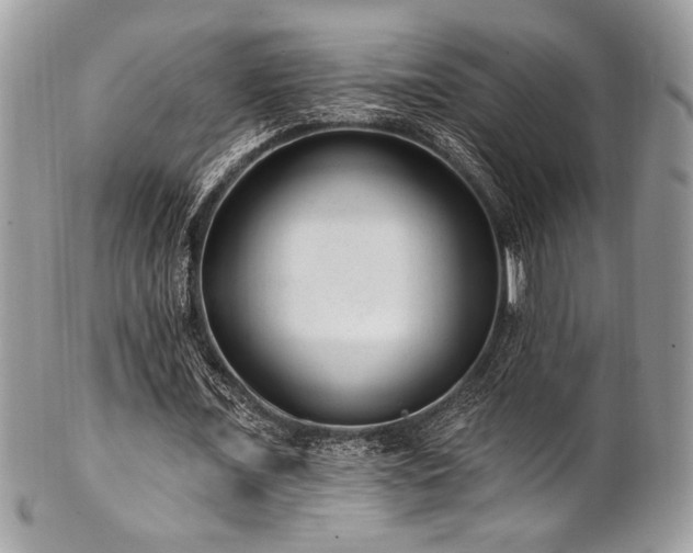 X0000102310675200807251440