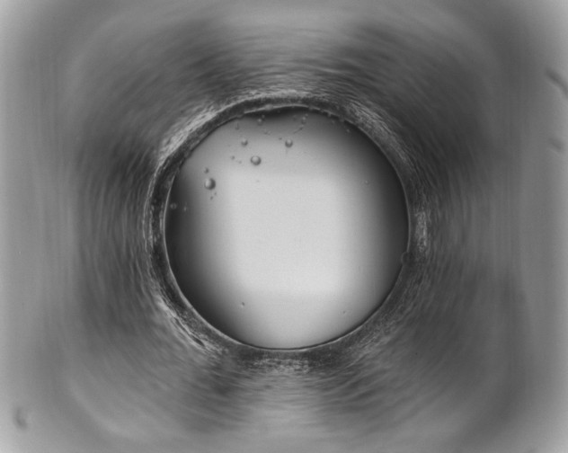 X0000102310676200807251440