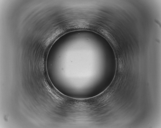 X0000102310677200807251440
