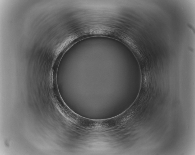 X0000102310678200807251440
