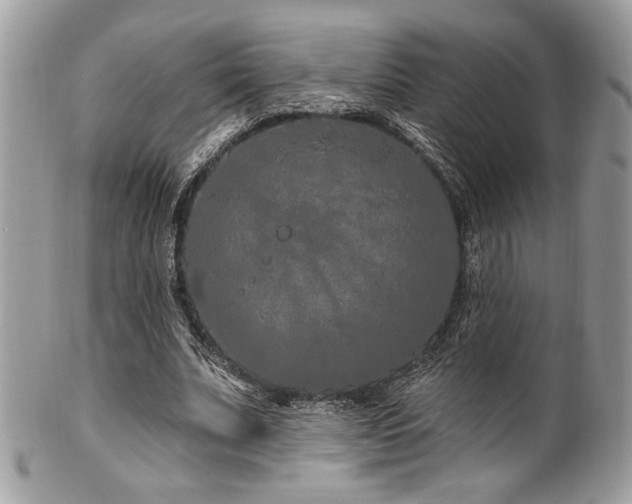 X0000102310679200807251440