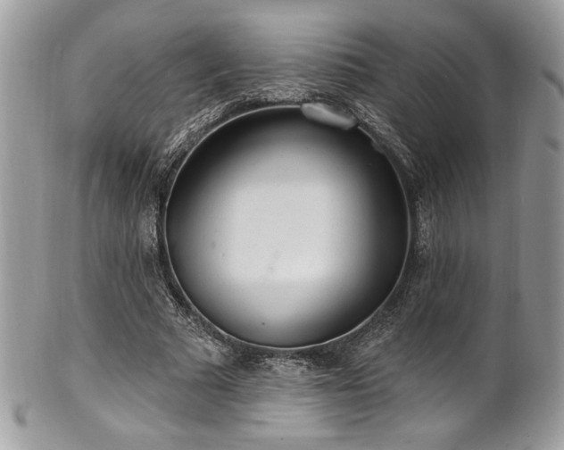 X0000102310681200807251440