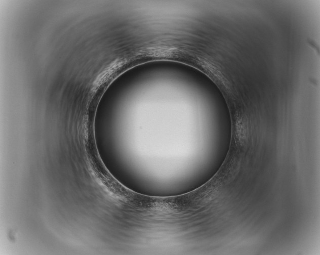 X0000102310682200807251440