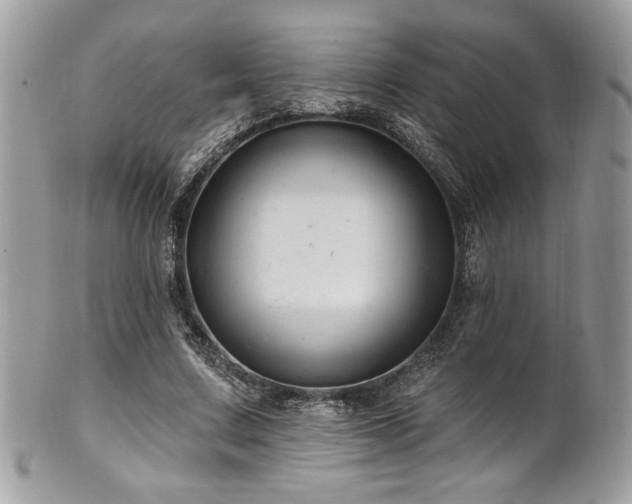 X0000102310683200807251440