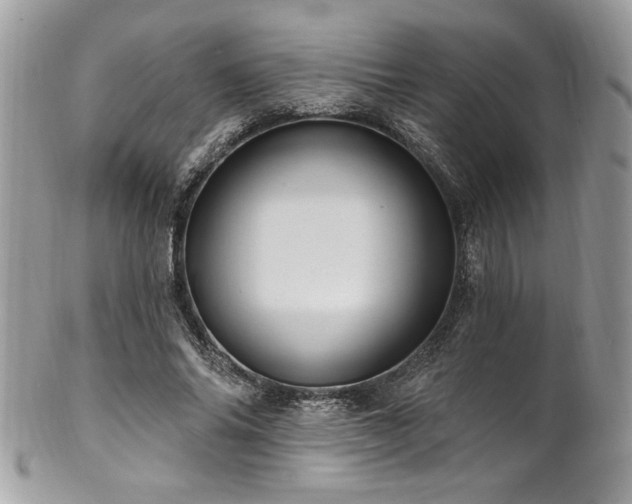 X0000102310686200807251440