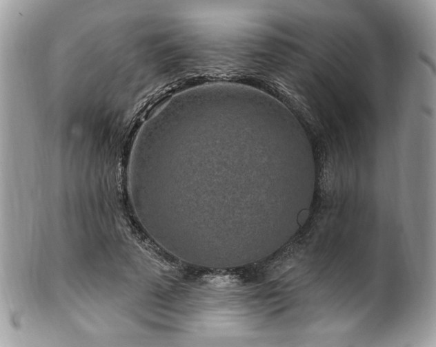 X0000102310689200807251440