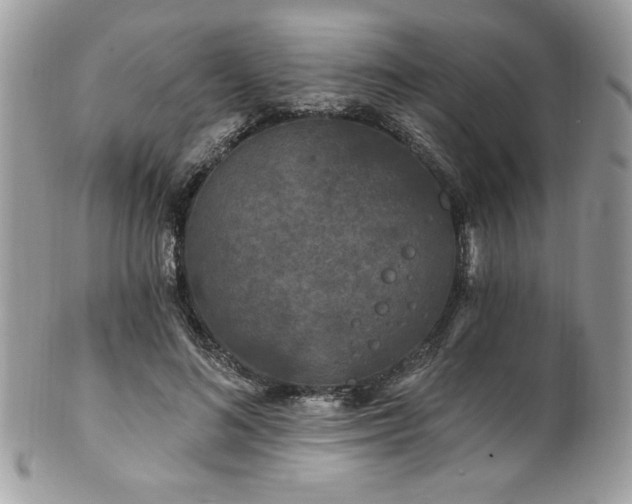 X0000102310692200807251440