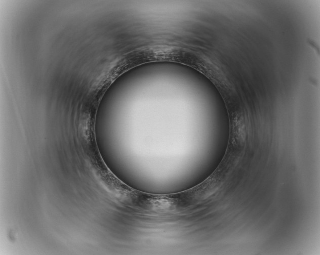 X0000102310698200807251440