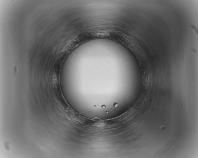 X0000102310704200807251440