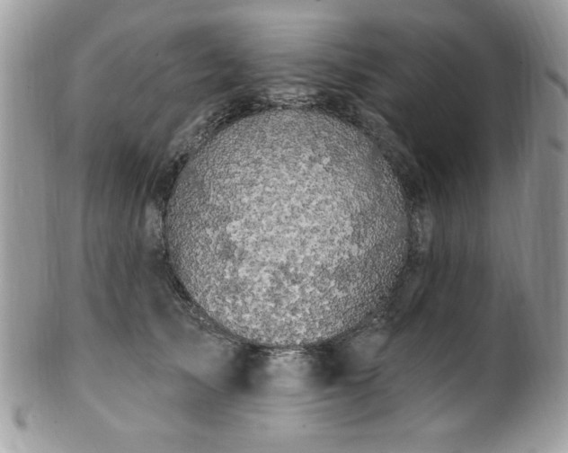 X0000102310705200807251440
