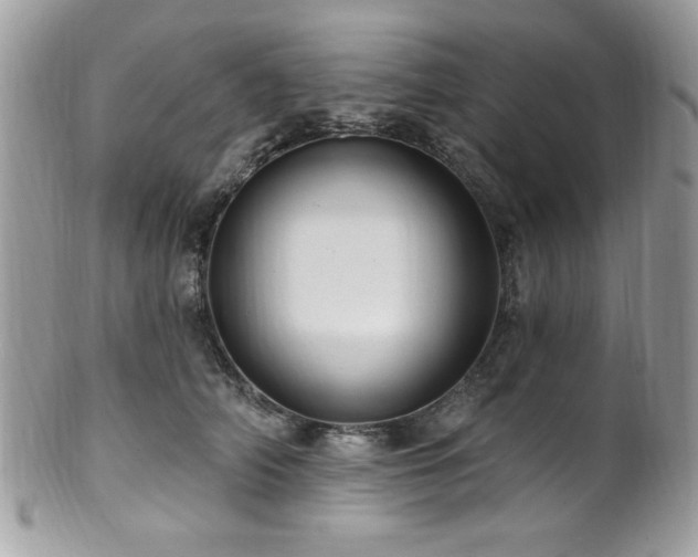 X0000102310706200807251440