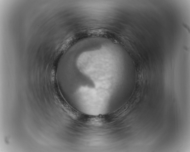 X0000102310708200807251440