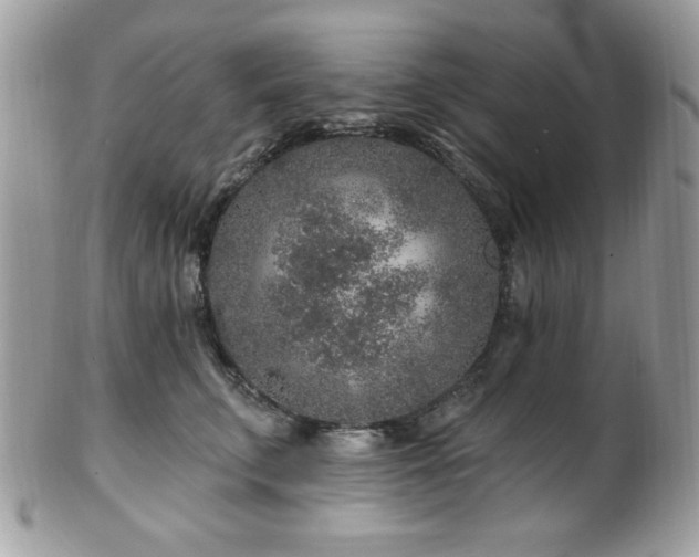 X0000102310711200807251440