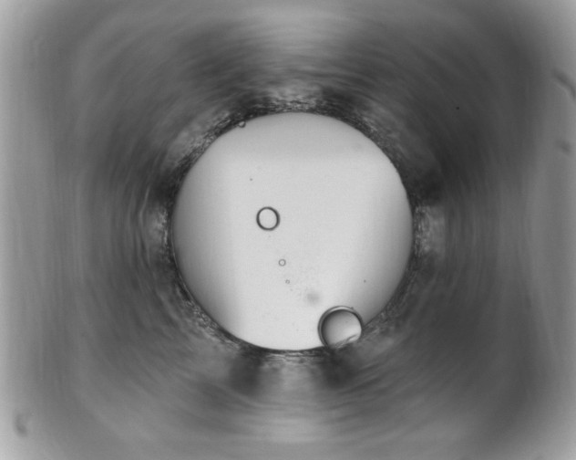 X0000102310713200807251440