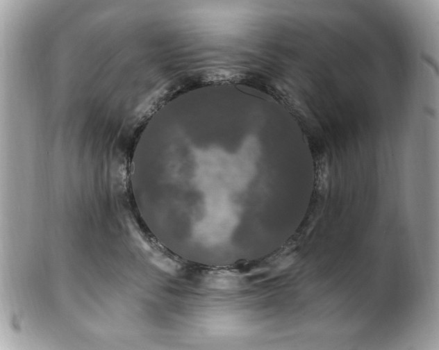 X0000102310716200807251440