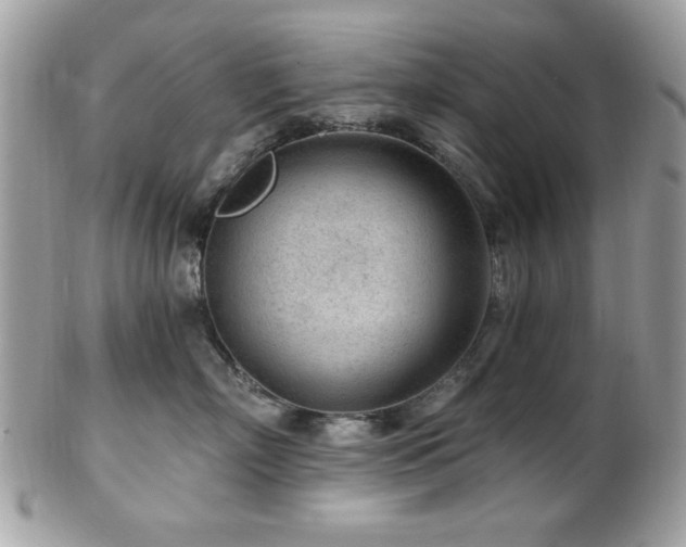 X0000102310718200807251440