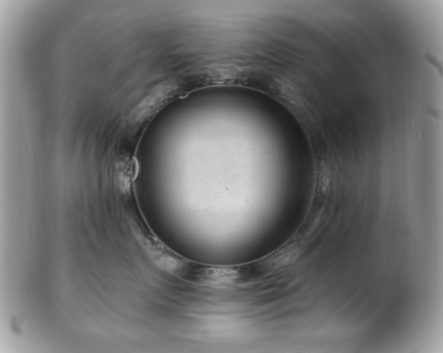 X0000102310719200807251440