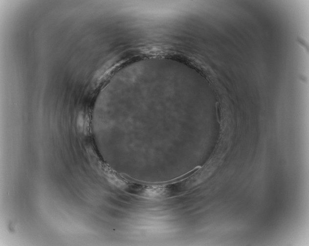 X0000102310720200807251440