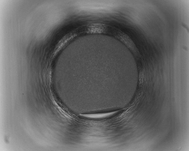 X0000102310722200807251439