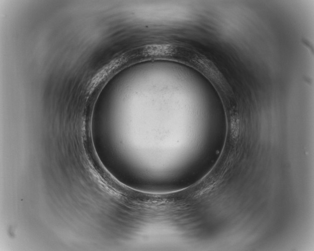X0000102310725200807251439