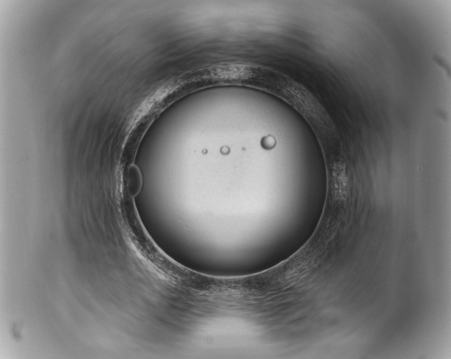 X0000102310726200807251439