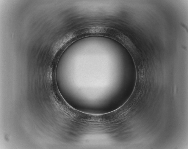 X0000102310727200807251439