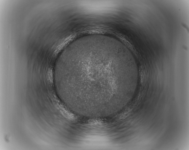 X0000102310729200807251439