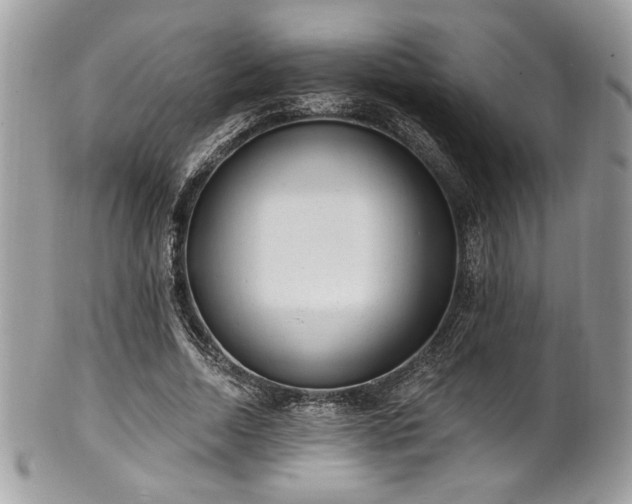 X0000102310730200807251439