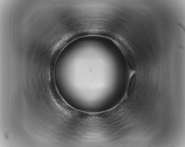 X0000102310734200807251439