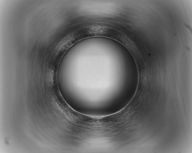 X0000102310735200807251439