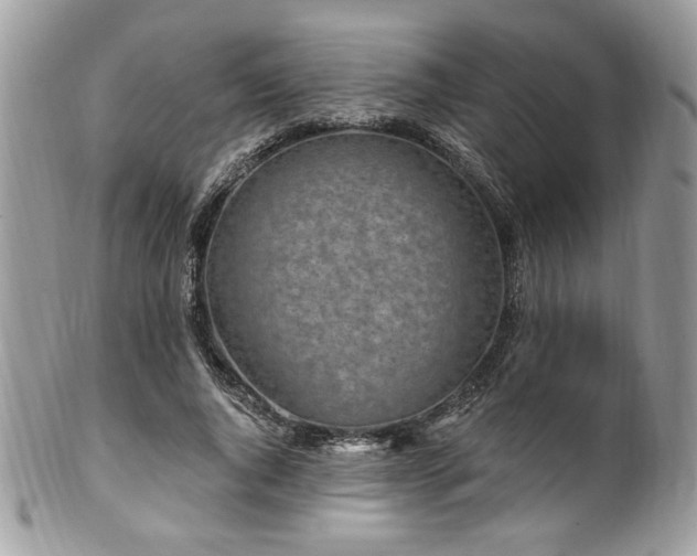 X0000102310736200807251439