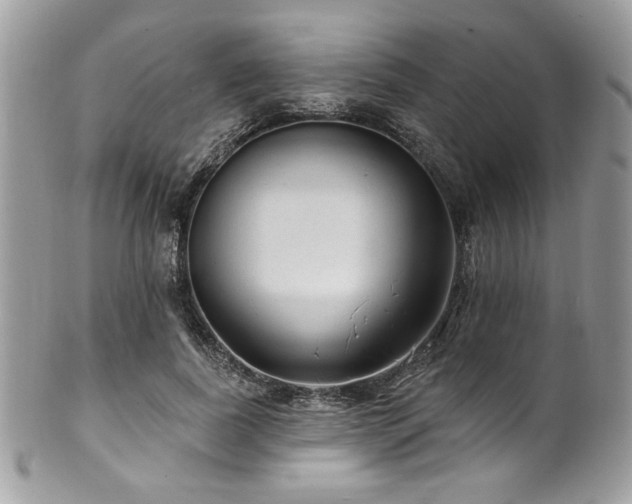 X0000102310739200807251439