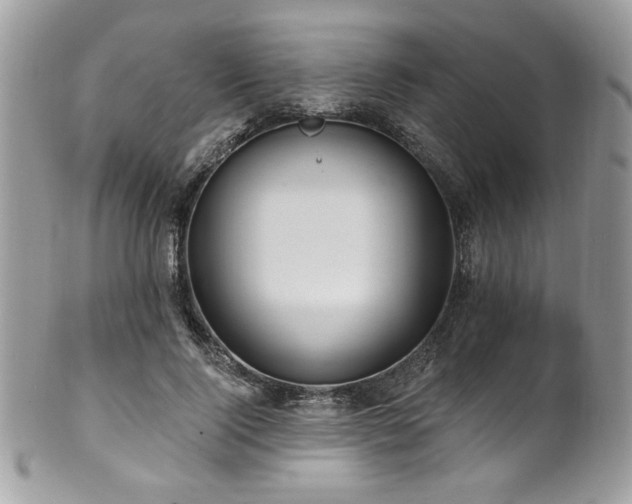 X0000102310740200807251439