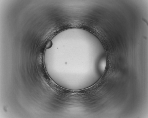 X0000102310744200807251439