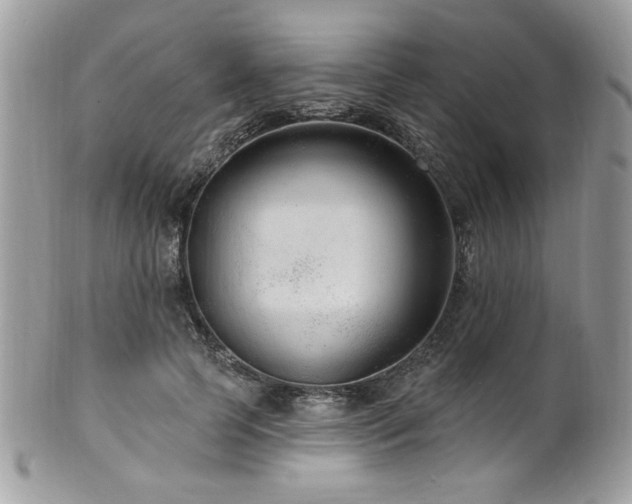 X0000102310745200807251439