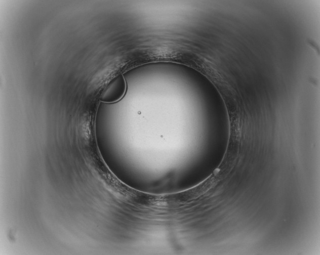 X0000102310746200807251439