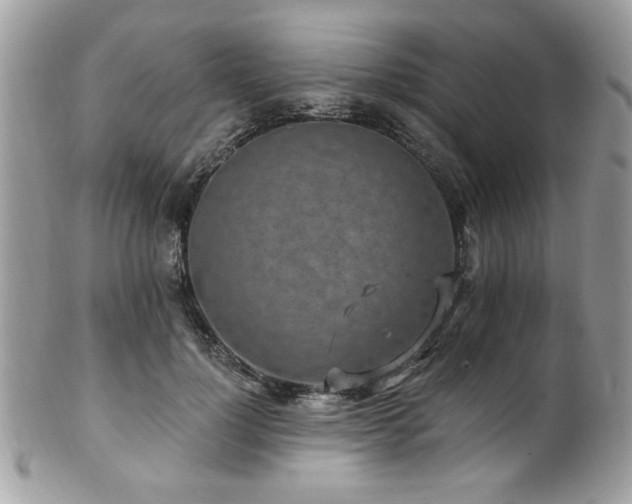 X0000102310748200807251439