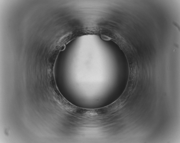 X0000102310749200807251439