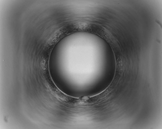 X0000102310750200807251439