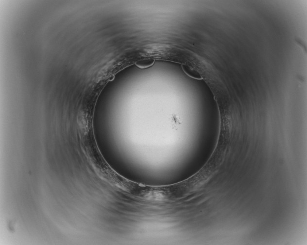 X0000102310751200807251439