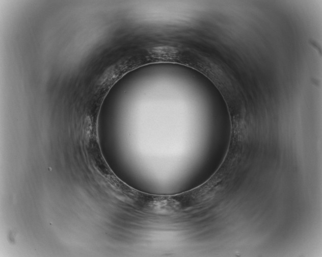 X0000102310752200807251439