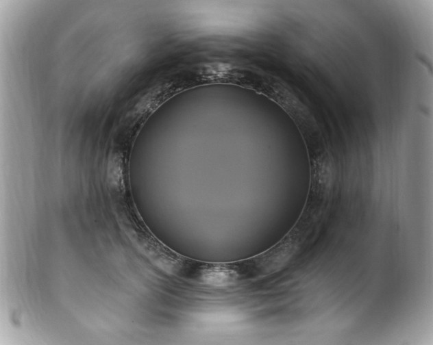 X0000102310754200807251440
